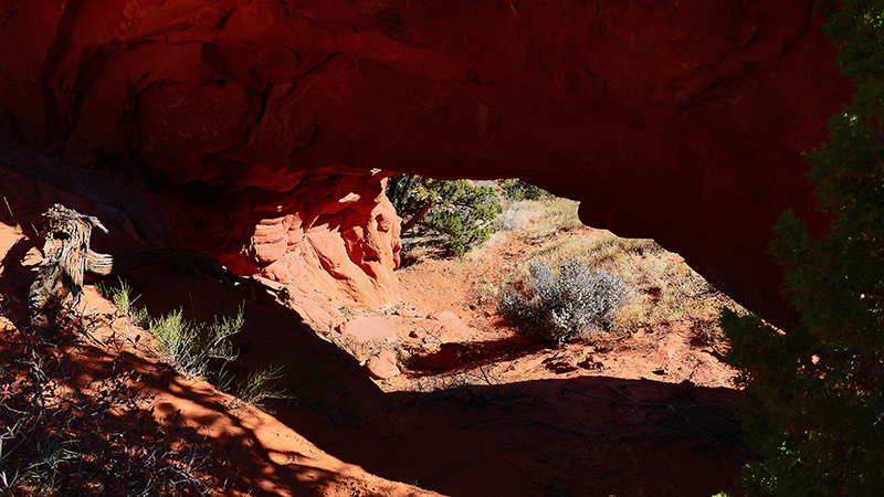 Moby Dick Arch [Coyote Buttes North]