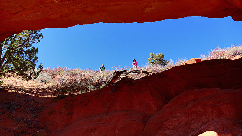 Moby Dick Arch [Coyote Buttes North]