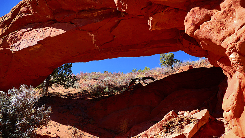 Moby Dick Arch [Coyote Buttes North]