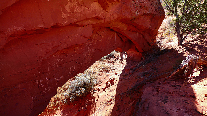 Moby Dick Arch [Coyote Buttes North]