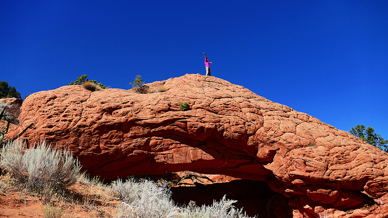 Moby Dick Arch [Coyote Buttes North]