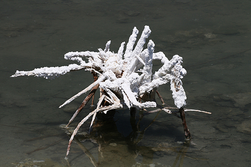 Mono Lake