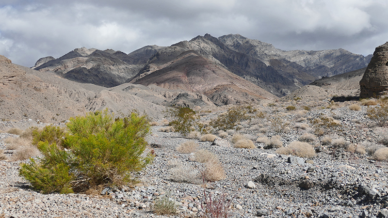 Moonlight Canyon Death Valley National Park