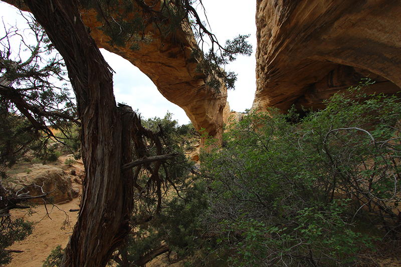 Moonshine Arch