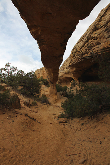 Moonshine Arch