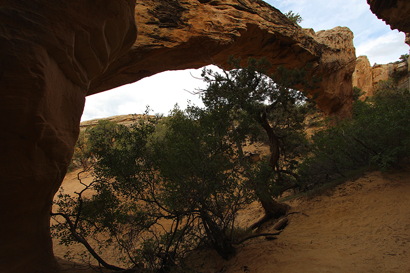 Moonshine Arch