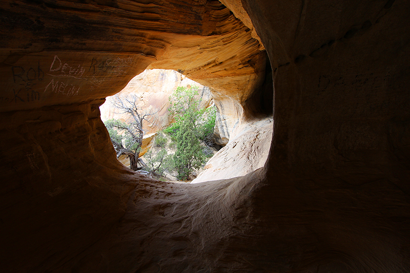 Moonshine Arch