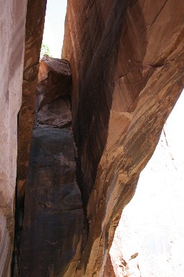 Morning Glory Arch