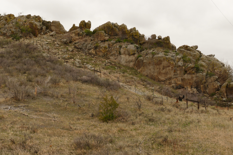 Devil's Backbone Open Space - Morrison Loop Trail [Loveland]