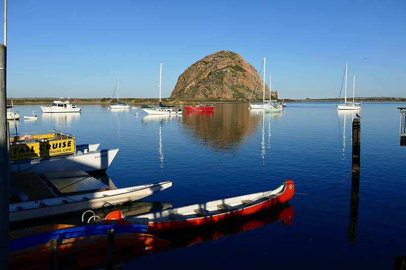 Whalewatching Morro Bay