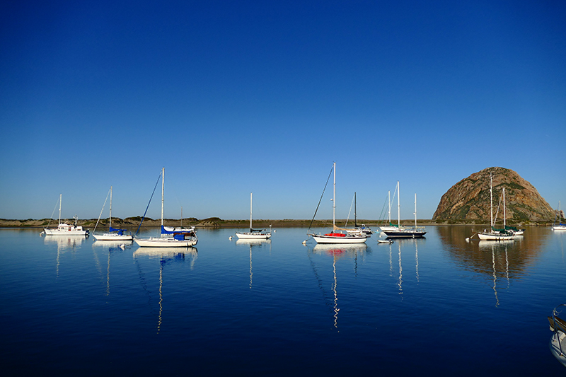 Whalewatching Morro Bay