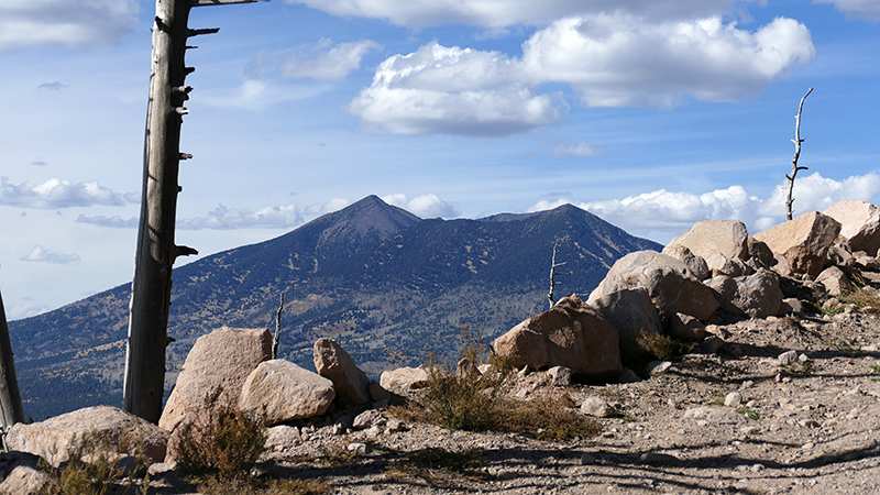 Elden Mountain [Coconino National Forest]