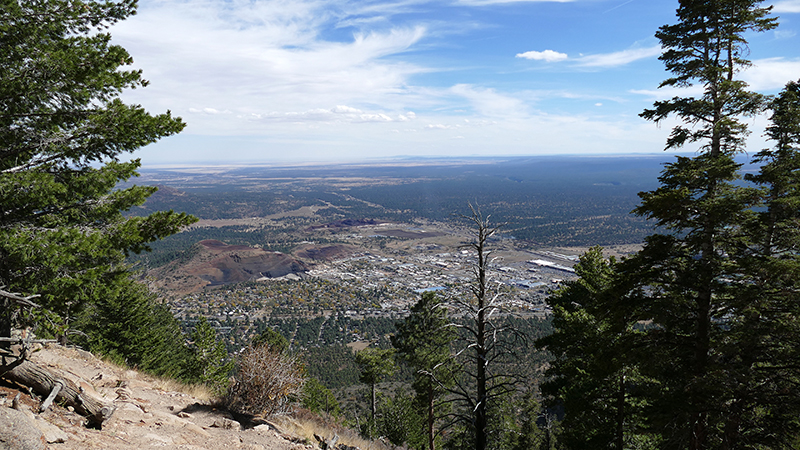 Elden Mountain [Coconino National Forest]