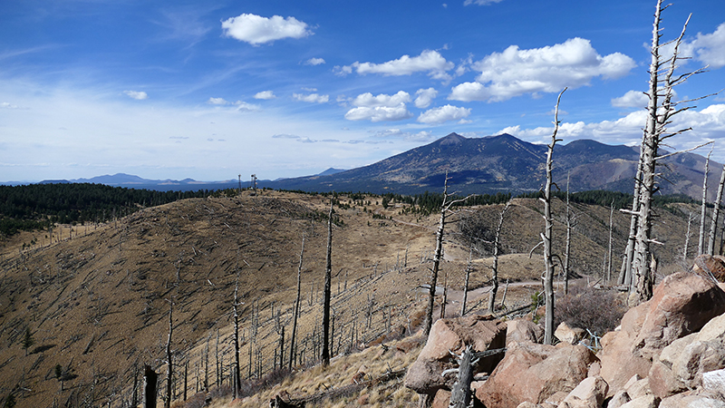 Elden Mountain [Coconino National Forest]