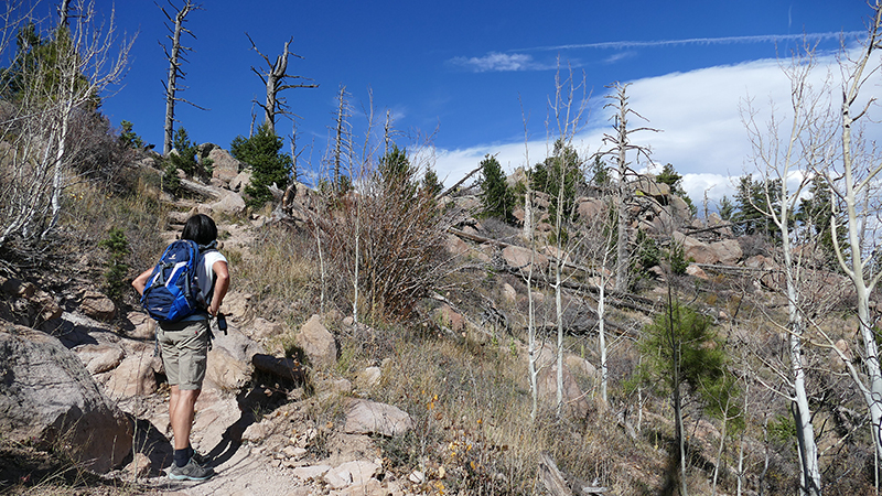 Elden Mountain [Coconino National Forest]