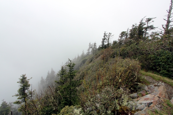 Mount Le Conte [Great Smoky Mountains Nationalpark]