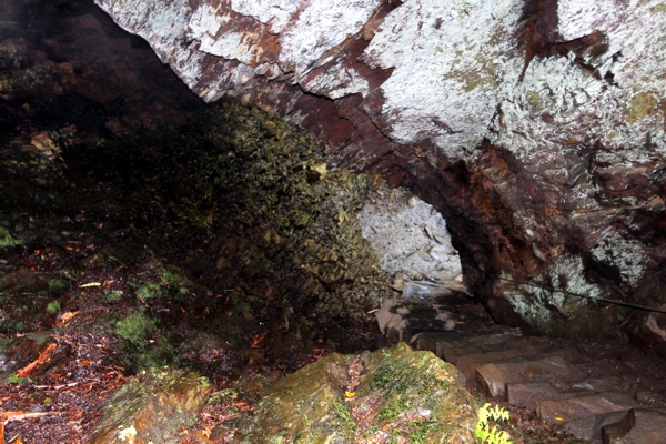 Mount Le Conte [Great Smoky Mountains Nationalpark]