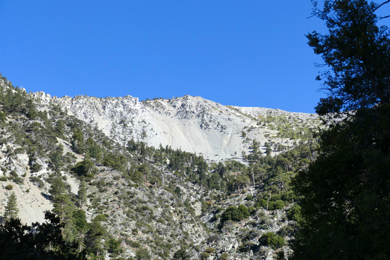 Mount San Antonio aka. Mount Baldy [Angeles National Forest]