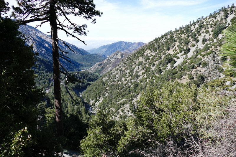 Mount San Antonio aka. Mount Baldy [Angeles National Forest]
