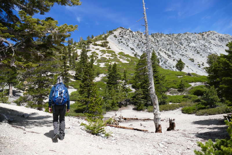 Mount San Antonio aka. Mount Baldy [Angeles National Forest]