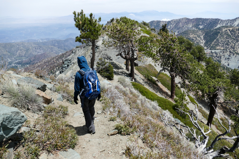 San Antonio Falls - Mount San Antonio aka. Mount Baldy [Angeles National Forest]