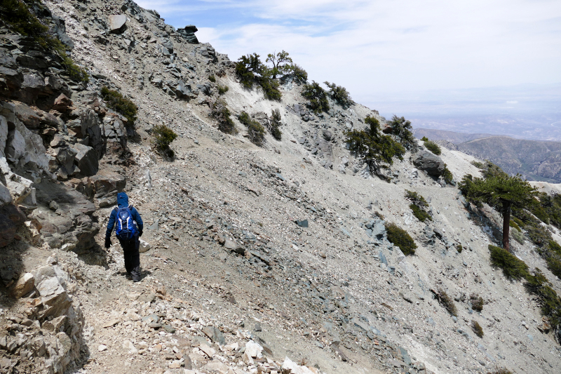 Mount San Antonio aka. Mount Baldy [Angeles National Forest]