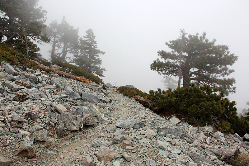 Mount San Antonio aka. Mount Baldy [Angeles National Forest]