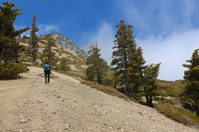 Mount San Antonio Mount Baldy