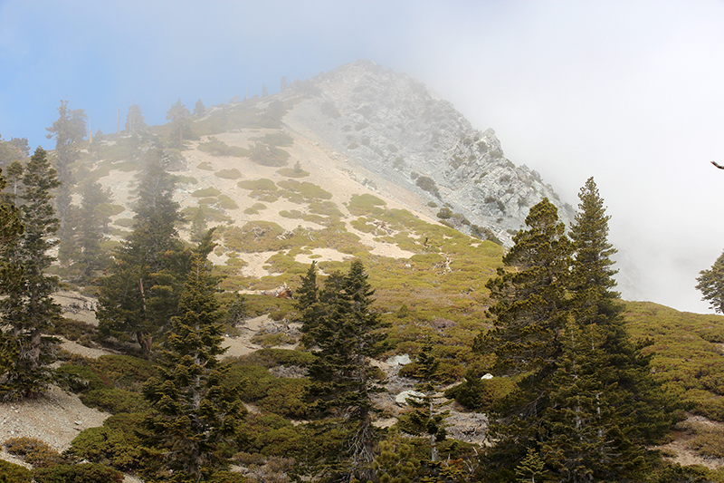 Mount San Antonio aka. Mount Baldy [Angeles National Forest]