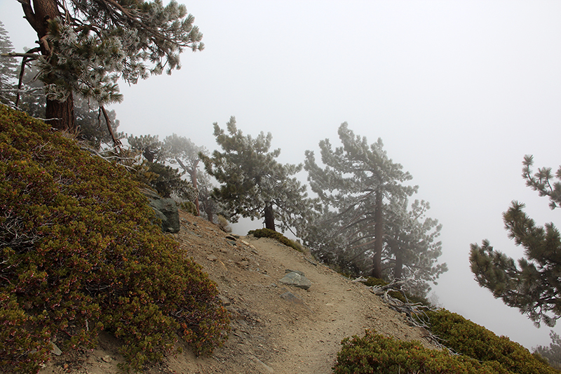 Mount San Antonio aka. Mount Baldy [Angeles National Forest]