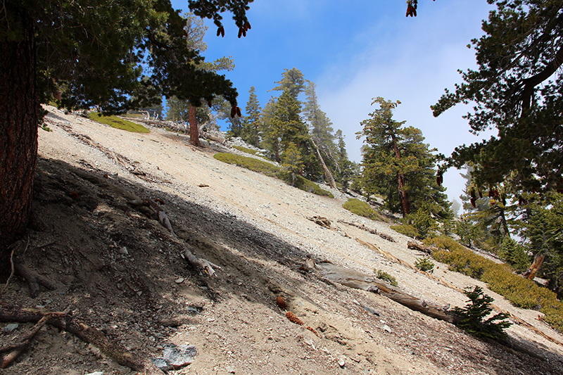 Mount San Antonio aka. Mount Baldy [Angeles National Forest]