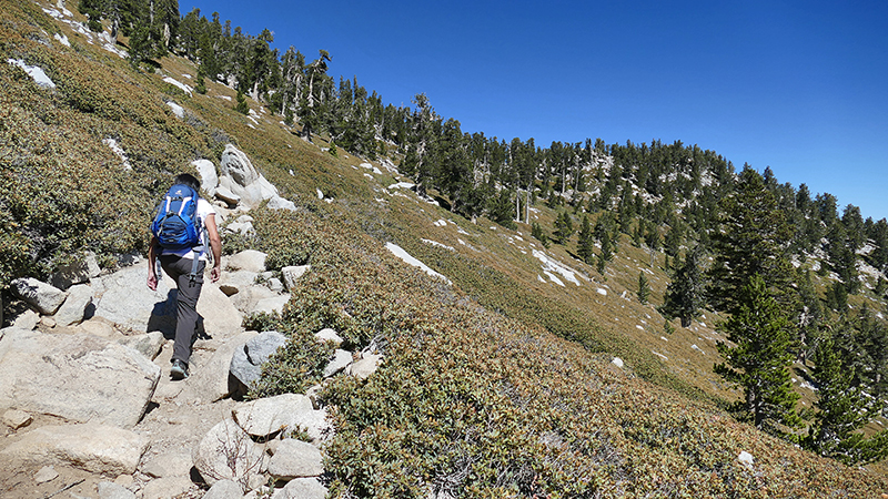 Mount San Jacinto [Mount San Jacinto State Park]