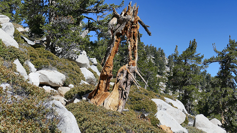 San Jacinto Peak Palm Springs