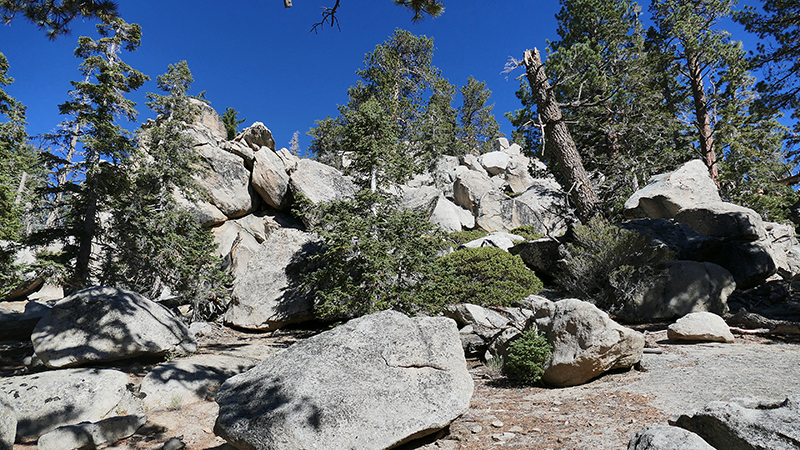 Mount San Jacinto [Mount San Jacinto State Park]