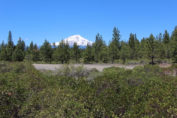 Mount Shasta