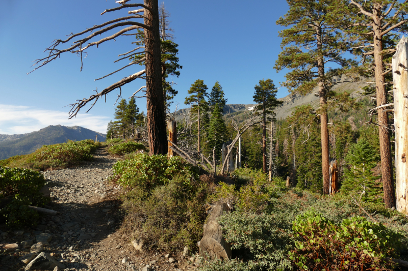 Bild Mount Tallac Lake Tahoe beim zweiten Versuch