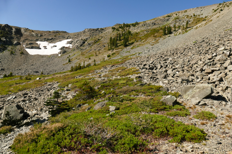 Bild Mount Tallac Lake Tahoe beim zweiten Versuch