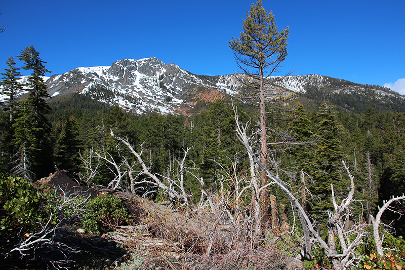 Bild Mount Tallac Lake Tahoe beim ersten Versuch