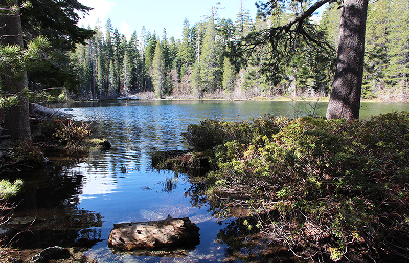 Bild Mount Tallac Lake Tahoe beim ersten Versuch