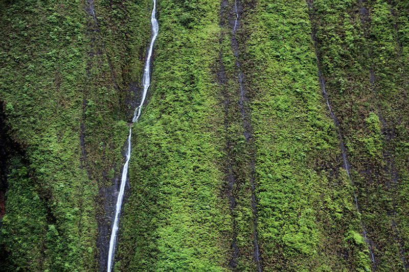 Mount Waialeale Wall of Tears Kauai