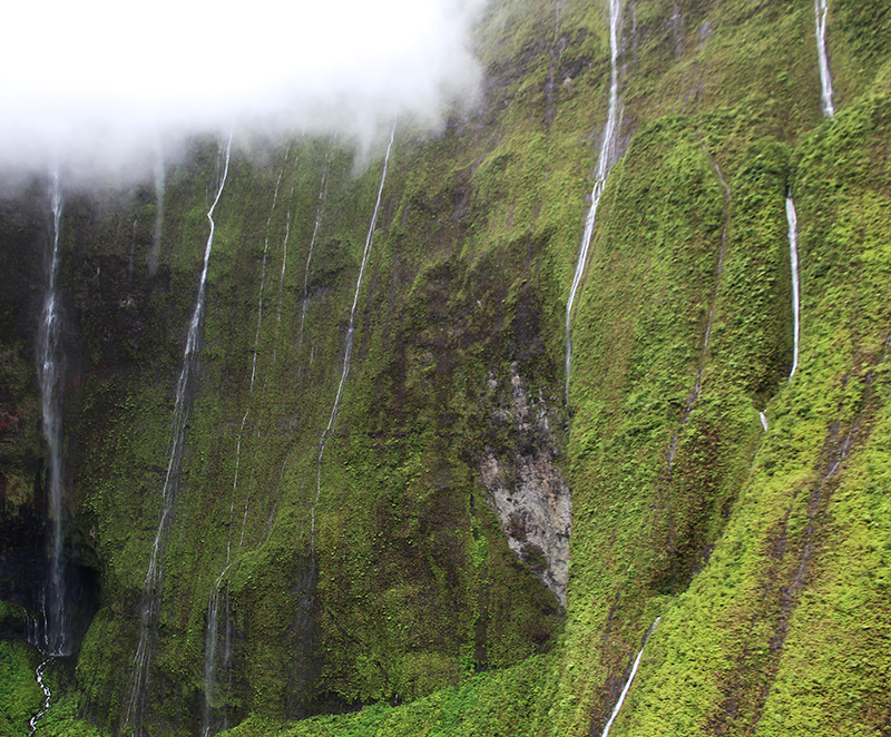 Mount Waialeale Wall of Tears Kauai