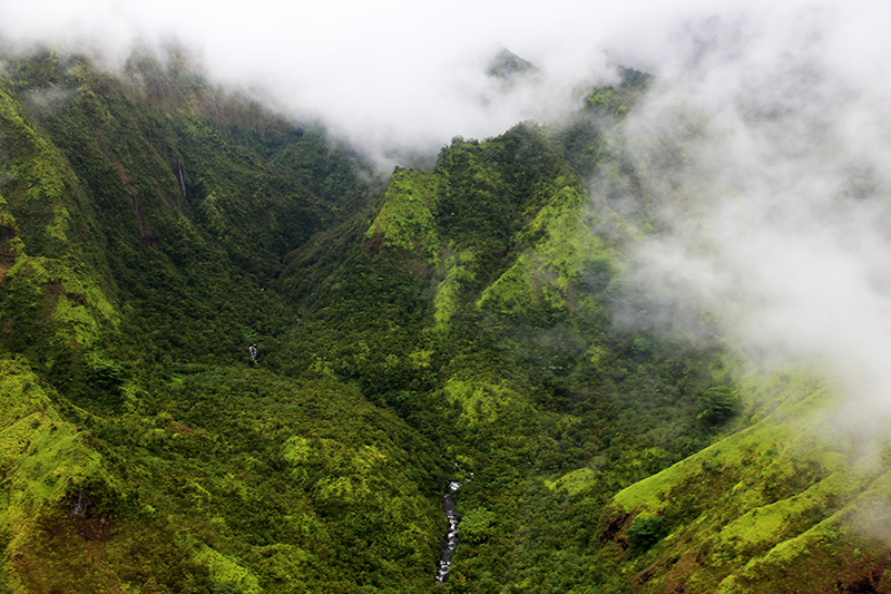 Mount Waialeale Wall of Tears Kauai