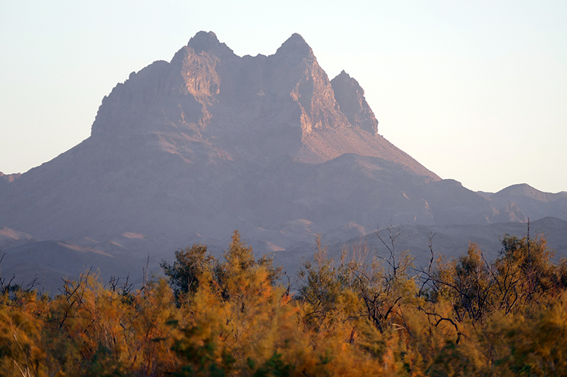 Muggins Peak