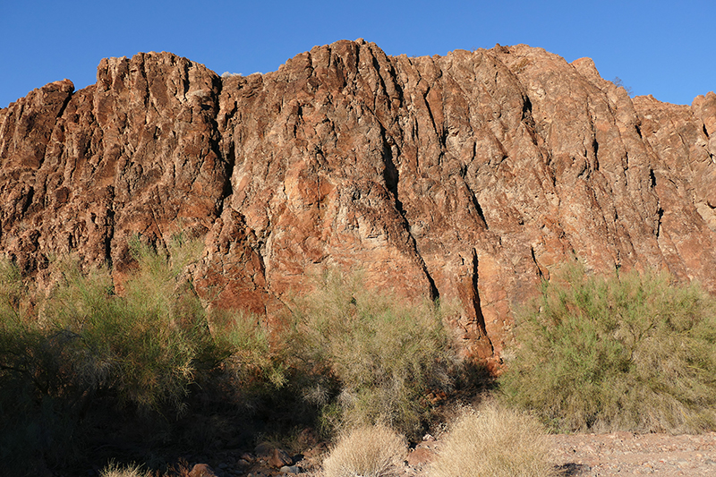 Muggins Mountains Wilderness