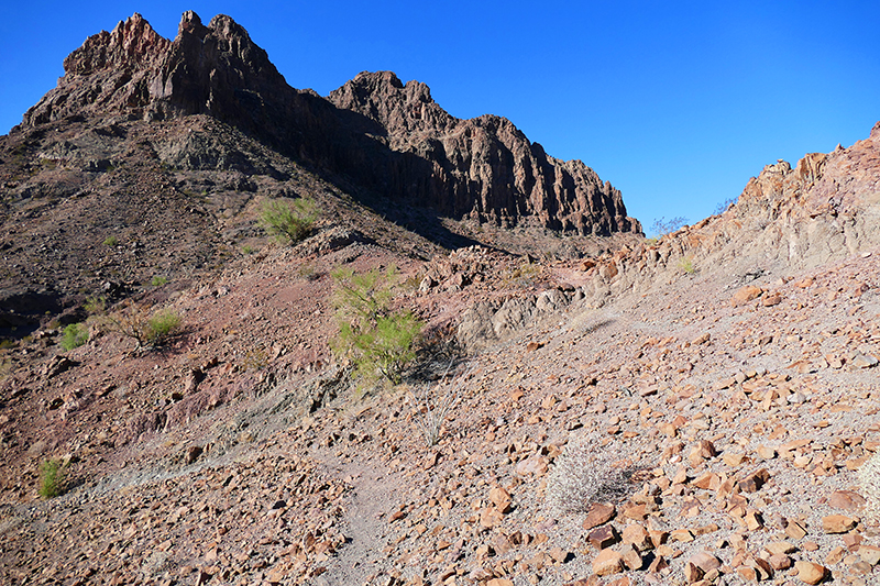 Muggins Mountains Wilderness