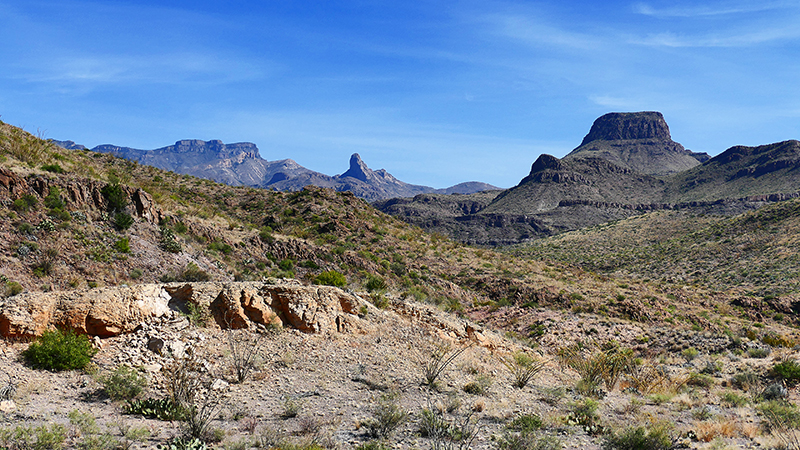 Mule Ear Peaks [Big Bend National Park]