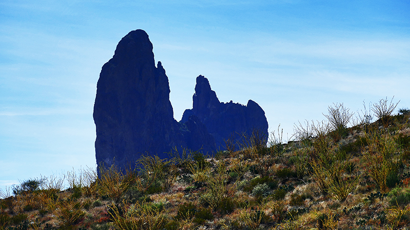 Mule Ear Peaks [Big Bend National Park]