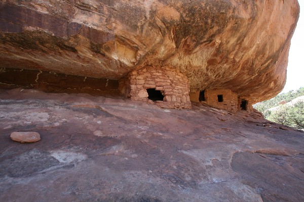 Mule Canyon [South Fork]