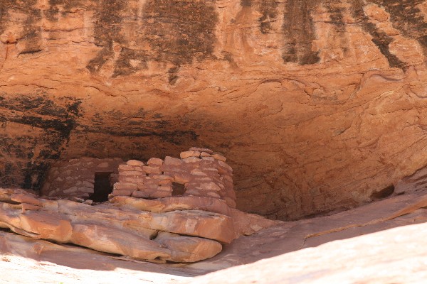 Mule Canyon [South Fork]