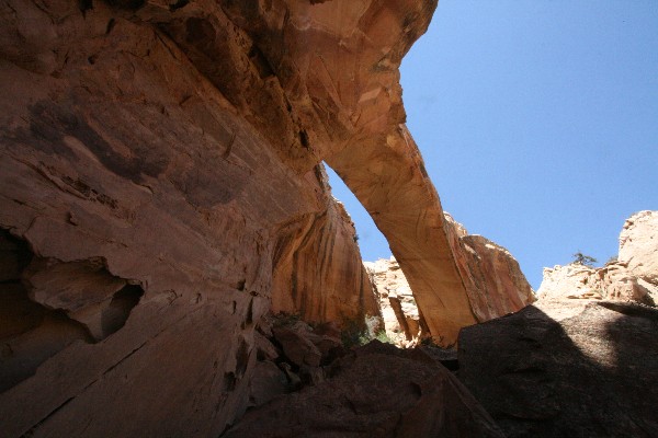 Muley Arch